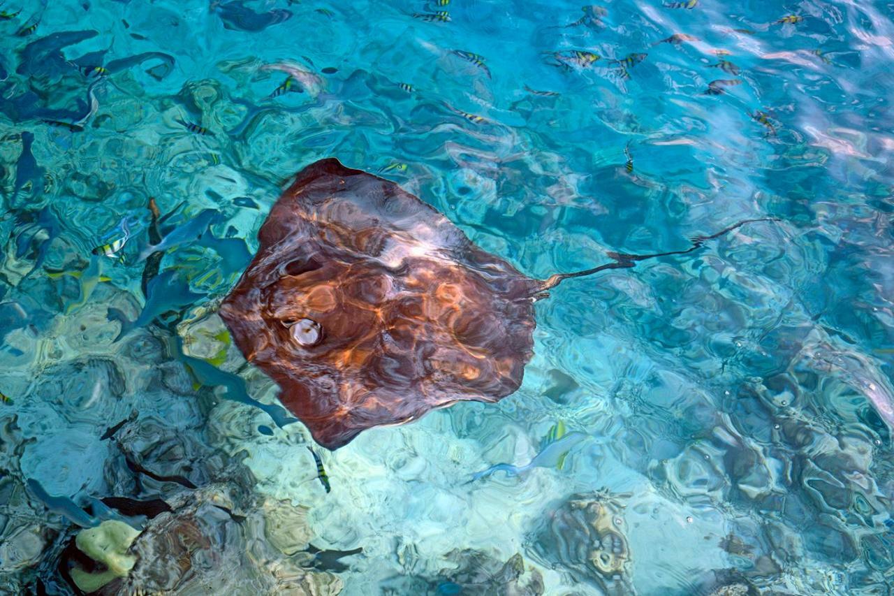 Ocean Village Maldives Holhudhoo Dış mekan fotoğraf