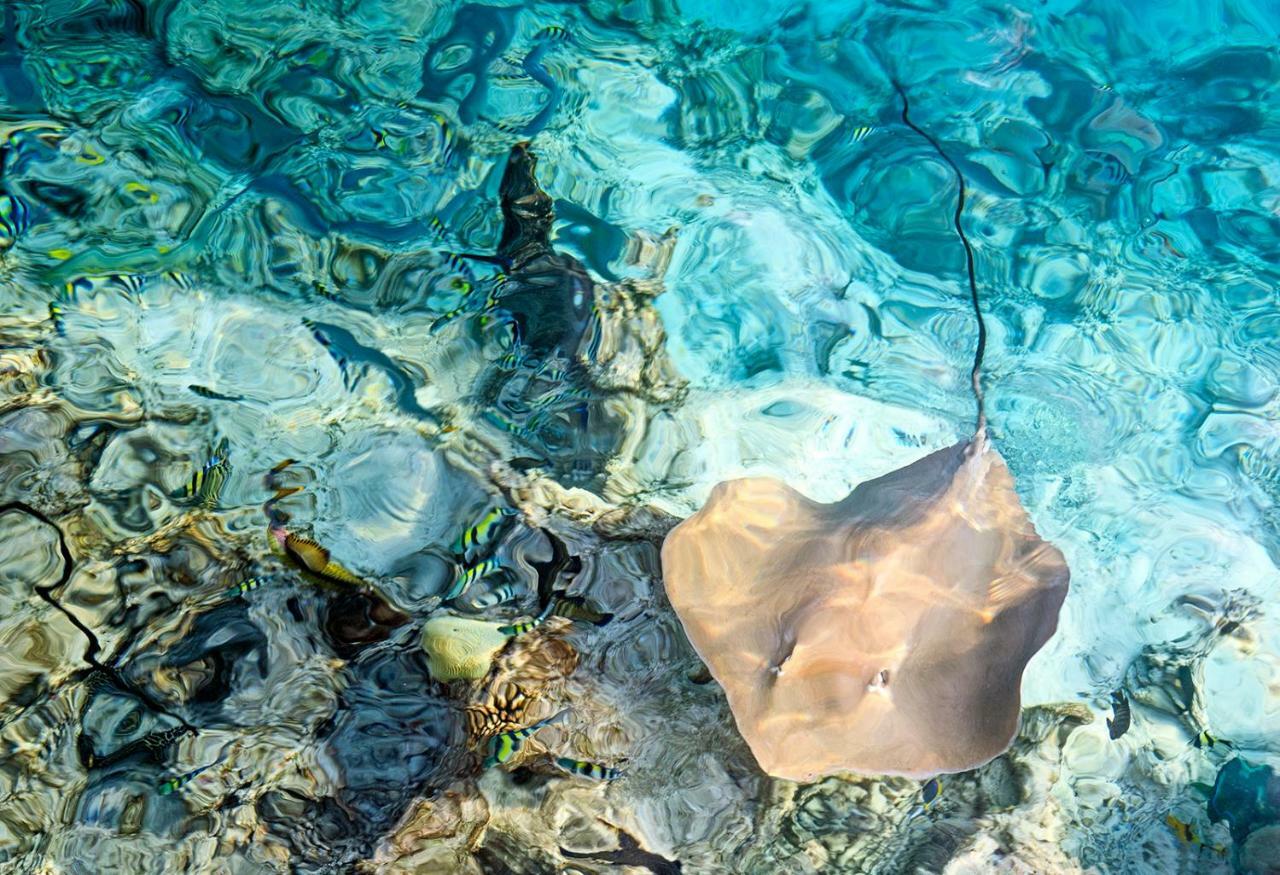 Ocean Village Maldives Holhudhoo Dış mekan fotoğraf