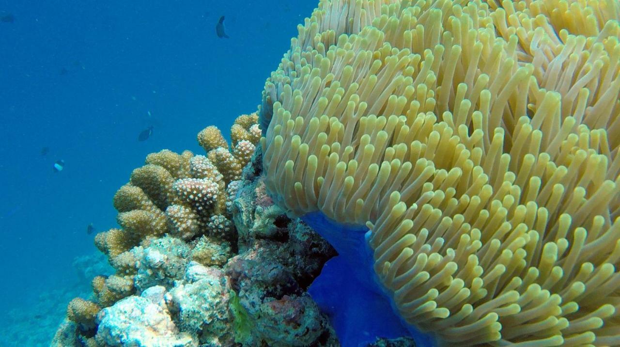 Ocean Village Maldives Holhudhoo Dış mekan fotoğraf