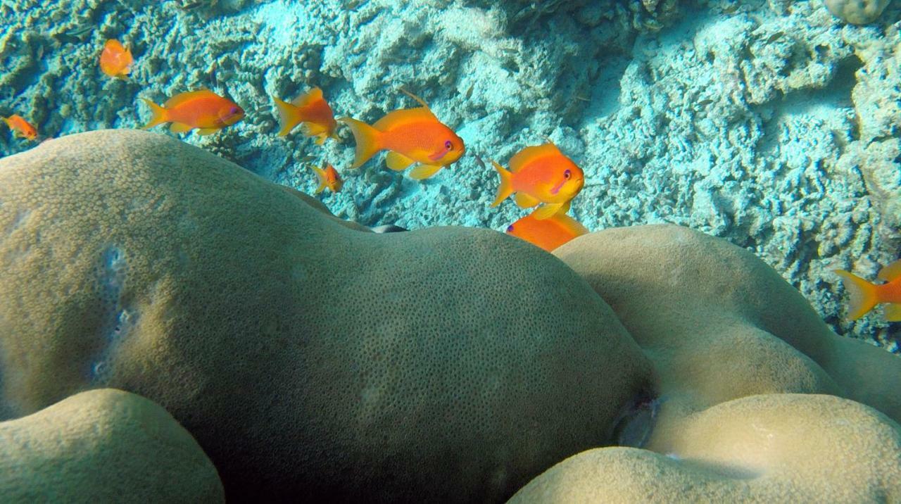 Ocean Village Maldives Holhudhoo Dış mekan fotoğraf
