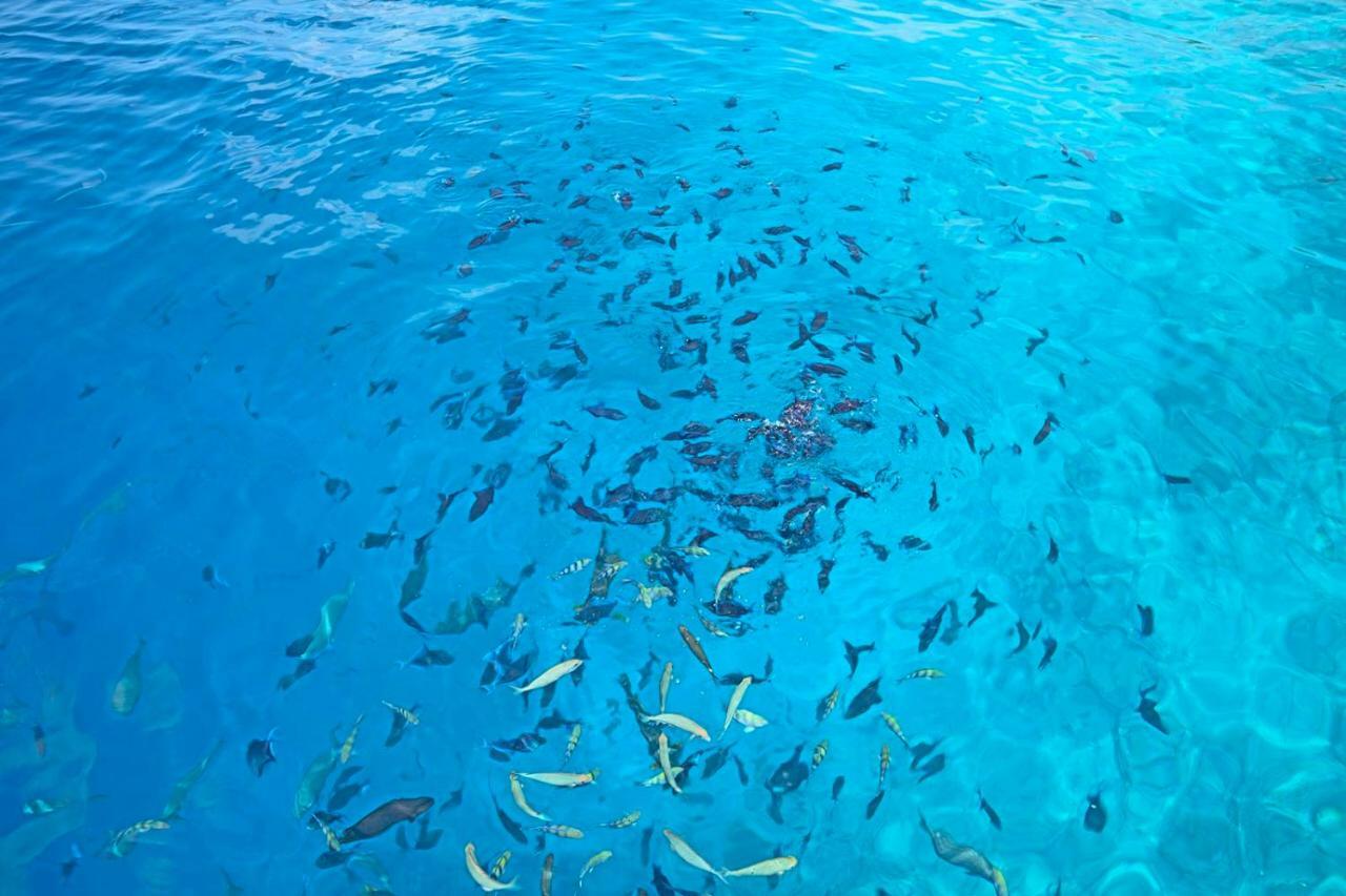 Ocean Village Maldives Holhudhoo Dış mekan fotoğraf
