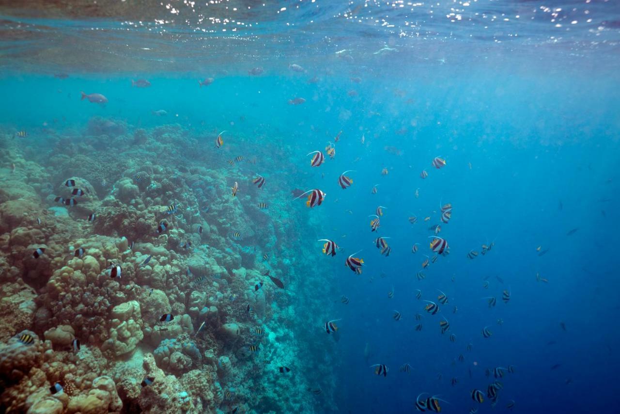Ocean Village Maldives Holhudhoo Dış mekan fotoğraf