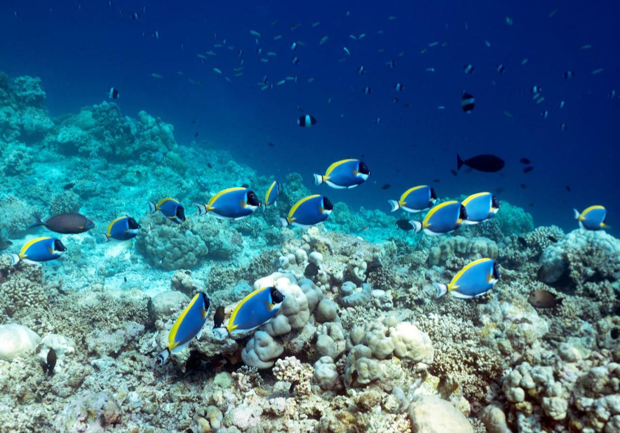 Ocean Village Maldives Holhudhoo Dış mekan fotoğraf