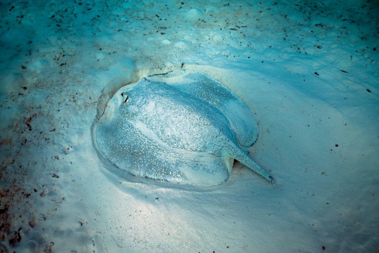 Ocean Village Maldives Holhudhoo Dış mekan fotoğraf